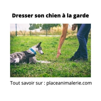 Dresser son chien à la garde